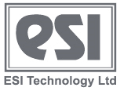 Logo ESI